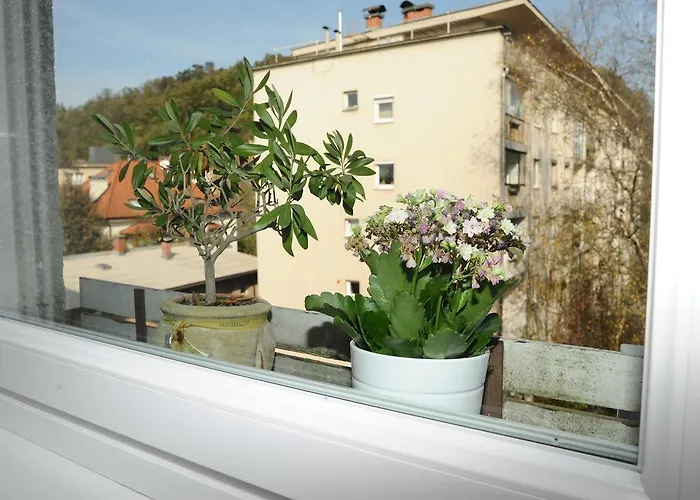 Διαμέρισμα Jojo *